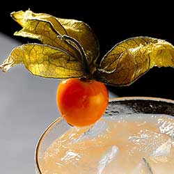 placeholder image-sq