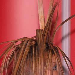 placeholder image-sq